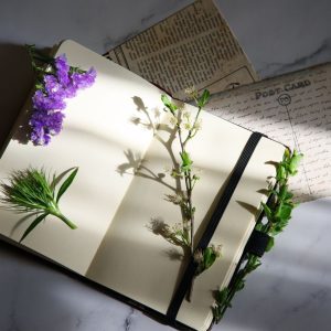 Open notebook with flowers and vintage postcards on a sunlit marble surface, perfect for creative journaling.