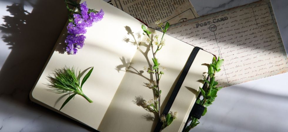 Open notebook with flowers and vintage postcards on a sunlit marble surface, perfect for creative journaling.
